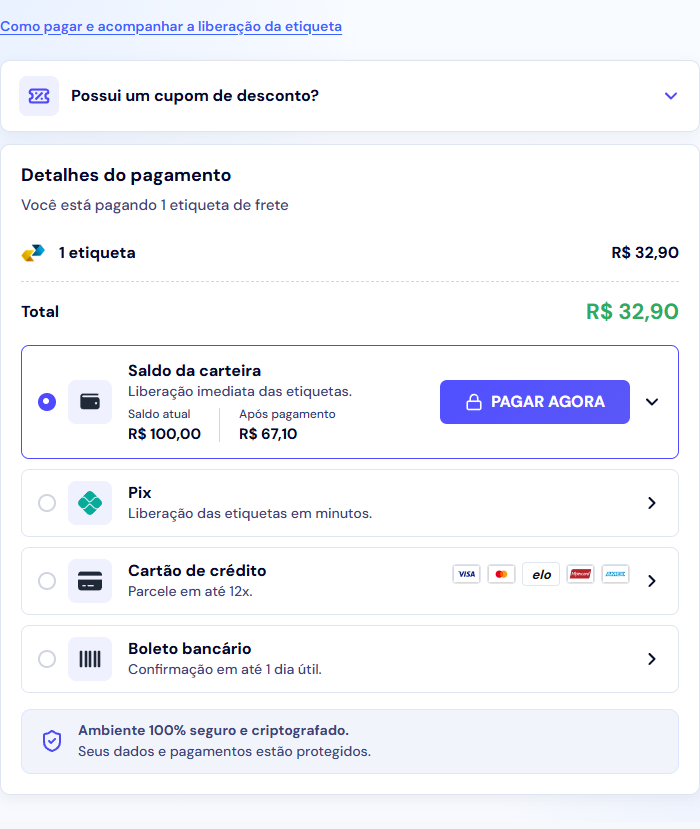Página de pagamento demonstrativa com resumo da compra, formas disponíveis e botão PAGAR AGORA